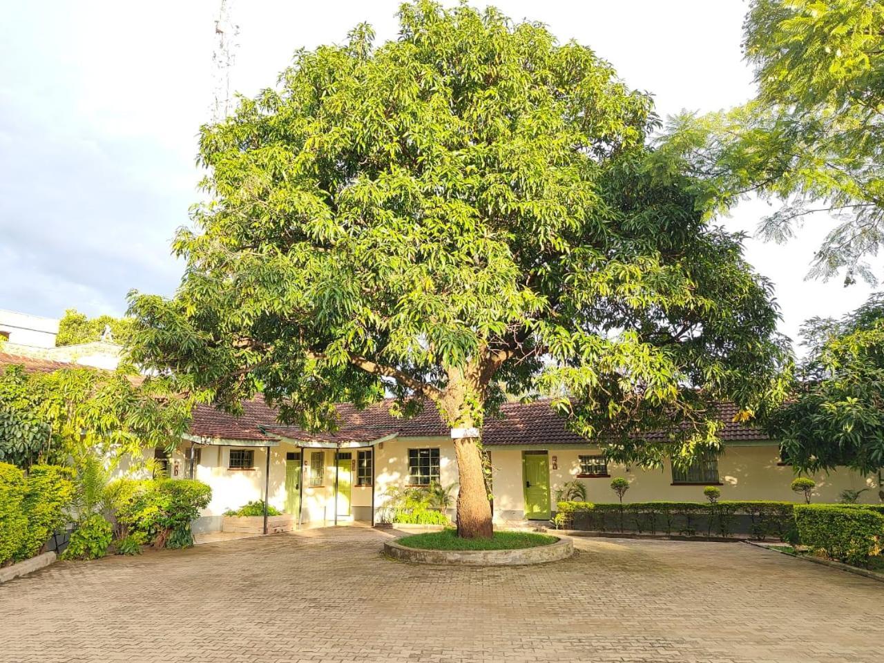 Milimani Drive Livings Apartman Kisumu Kültér fotó